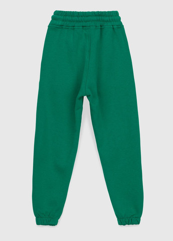 Зеленые спортивные зимние брюки ANGELOS