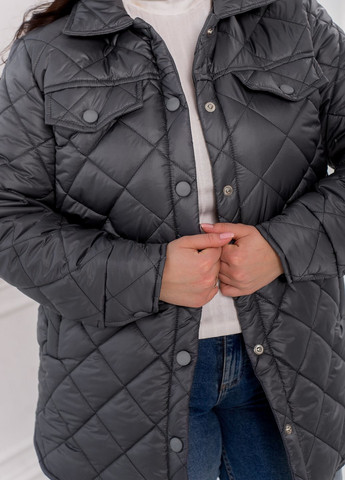 Сіра демісезонна куртка Minova