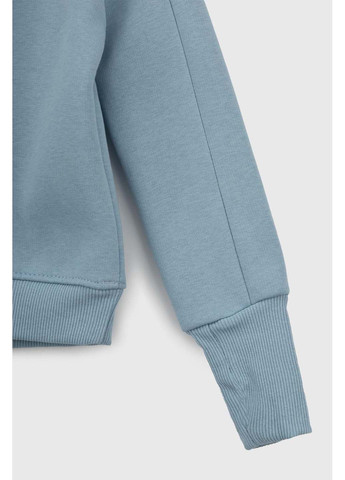 Голубой демисезонный костюм реглан, штаны Safari