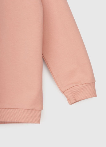 Костюм для дівчинки (світшот+штани) 1567 104 см Рожевий (2000990144331D) Breeze (267497610)