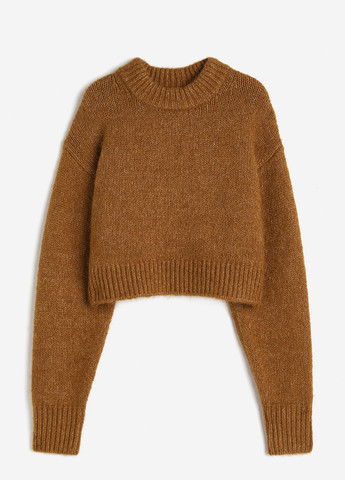 Коричневый демисезонный свитер H&M