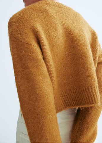 Коричневий демісезонний светр H&M