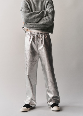 Серебряные повседневный демисезонные брюки Zara