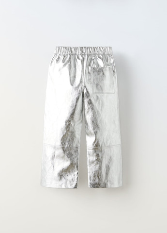 Серебряные повседневный демисезонные брюки Zara