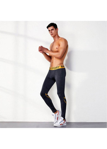 Спортивні леггінси Tauwell (267927898)