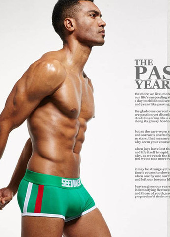 Труси чоловічі Seeinner (267928864)