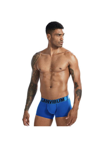 Мужское белье Lanvibum (267948191)