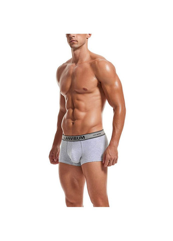 Мужские трусы Lanvibum (267947818)