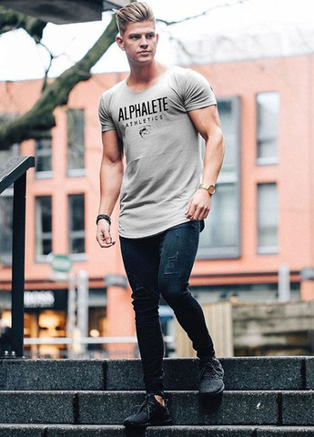 Серая брендовая серая футболка Alpha