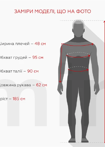 Темно-синие повседневный зимние брюки Demos