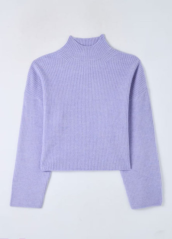 Сиреневый демисезонный свитер женщин Terranova