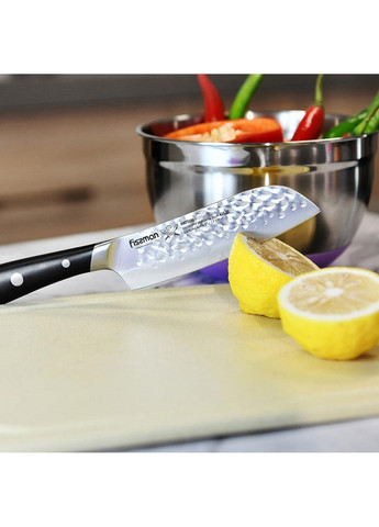 Нож сантоку Hattori hammered из нержавеющей стали Fissman (268460925)