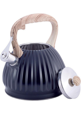 Чайник Whistling Kettle Black із нержавіючої сталі зі свистком Kamille (268459076)
