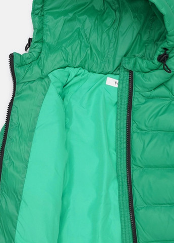Зеленая демисезонная куртка Y-Clu