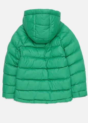 Зеленая демисезонная куртка Y-Clu