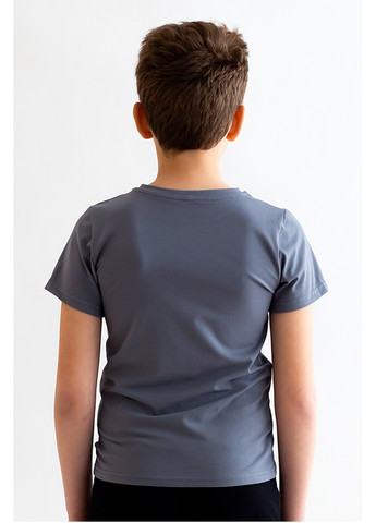 Сіра літня футболка для хлопчика Kosta 2233-4
