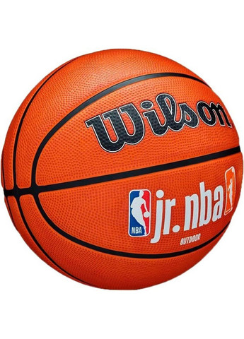 Мяч баскетбольный JR NBA FAM LOGO AUTH OUTDOOR BSKT size 5 Wilson (268833130)