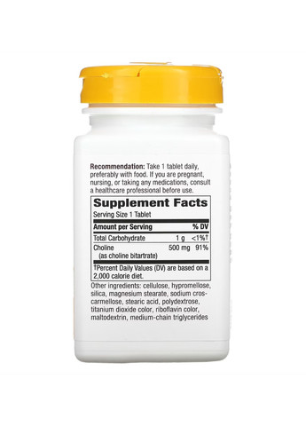 Холін для роботи мозку Choline 500 mg - 100 tabs Nature's Way (269117580)