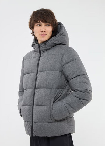 Сіра демісезонна куртка чол Terranova