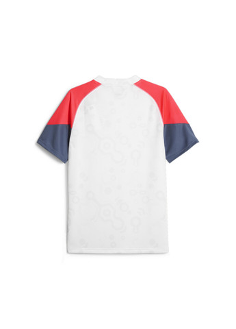 Белая демисезонная футболка individualcup men’s football jersey Puma