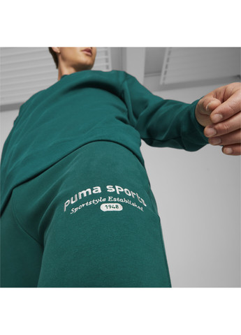 Штани TEAM Men’s Sweatpants Puma (269339966)