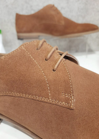 Дербі Topman (269459623)