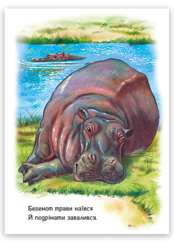 Книжка-картонка "Малятам про звіряток. Тварини світу" Автор Меламед Геннадій (9786170978677) РАНОК (269458532)