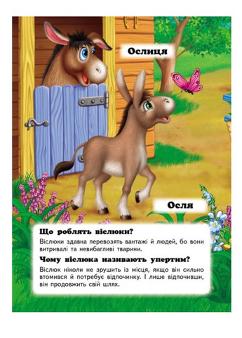 Хто це? Свійські. Запитання та відповіді Пегас (269691250)