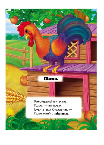 Хто це? Свійські. Запитання та відповіді Пегас (269691250)