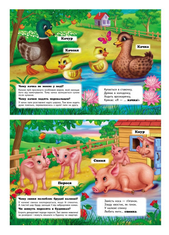 Хто це? Свійські. Запитання та відповіді Пегас (269691250)