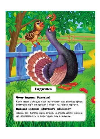 Кто это? На ферме. Вопросы и ответы Пегас (269691221)