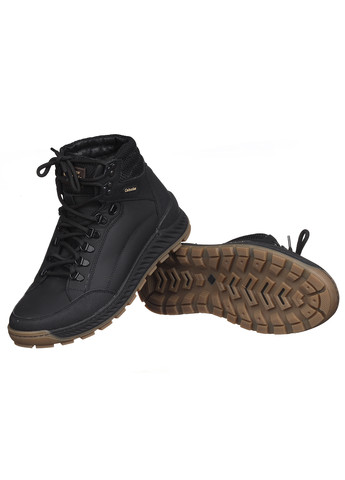 Чоловічі шкіряні черевики 161 Barzoni (269903648)