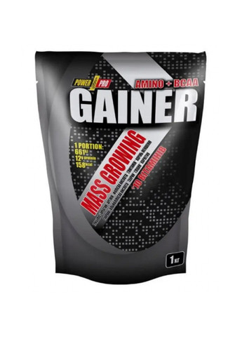 Гейнер для набора мышечной массы Gainer – 1000g Blueberry Power Pro (270007742)