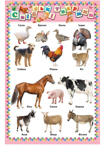 Моя перша книга Абетка Лічба Тварини Кольори. Енциклопедія на картоні Пегас (270091879)