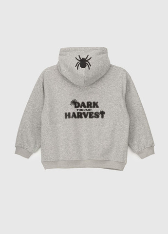 Худи с принтом для мальчика 23805 110 см Серый (2000990106650W) shop (2000990106650) XZKAMI (270931149)