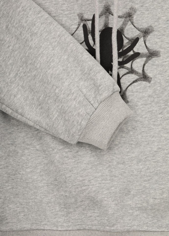 Худи с принтом для мальчика 23805 110 см Серый (2000990106650W) shop (2000990106650) XZKAMI (270931149)