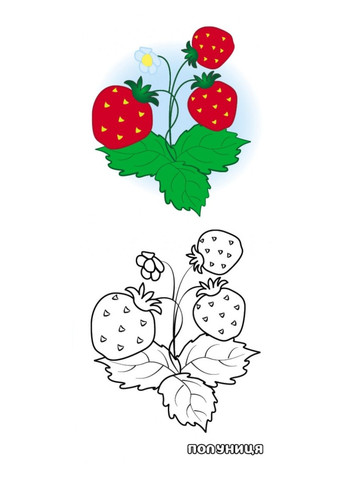 Фрукты и ягоды. Посмотри и раскрась Пегас (270965531)