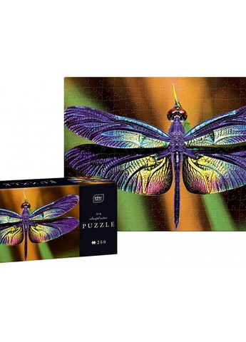 Пазли тришарові панорамні Барвиста природа Метелик 342003 Interdruk (271515424)