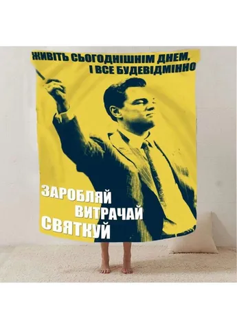 Плед 3D мотиваційний "Заробляй вітрачай святкуй №2" 2734_B 12798 135х160 см Fashion (271544832)