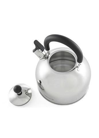 Чайник зі свистком Euphoria WK-4325-BSSS 2.5 л сірий Holmer (271550802)