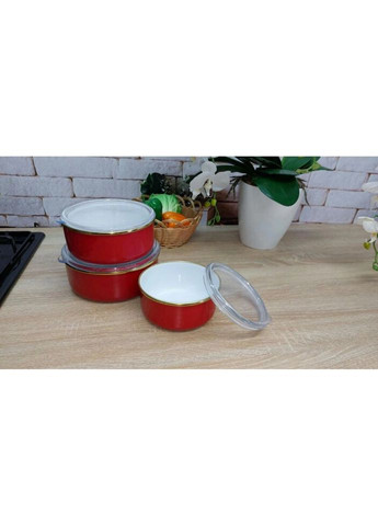 Набор контейнеров пищевых 10200-Red 6 предметов красный OMS (271550335)