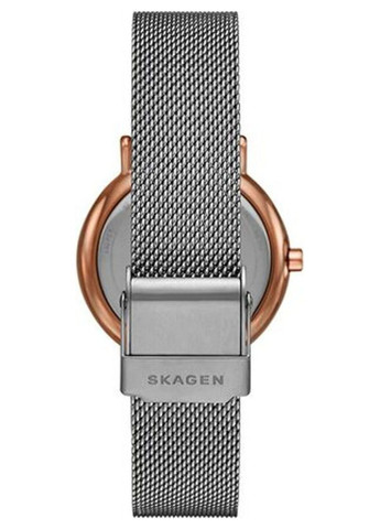 Наручний годинник Skagen skw2996 (272126384)