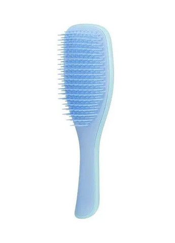 Расческа для волос The Wet Detangler голубой Tangle Teezer (272141145)