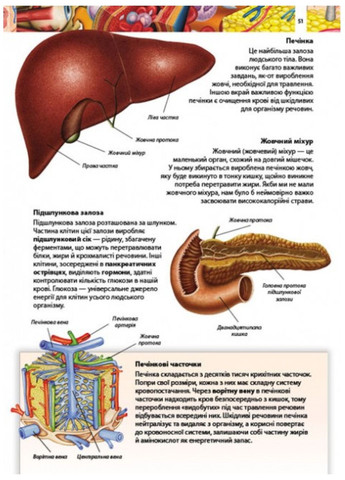 Дитяча енциклопедія. Набір з 3 книг Пегас (272598631)