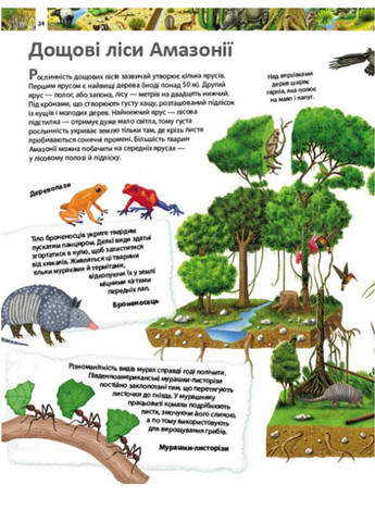 Дитяча енциклопедія. Дивовижний світ тварин Пегас (272598619)