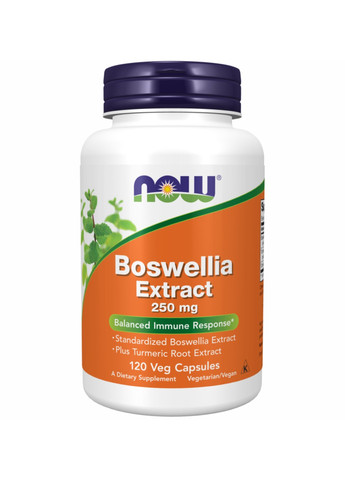 Екстракт босвелії Boswellia Extract 250 mg - 120 vcaps Now Foods (272820702)