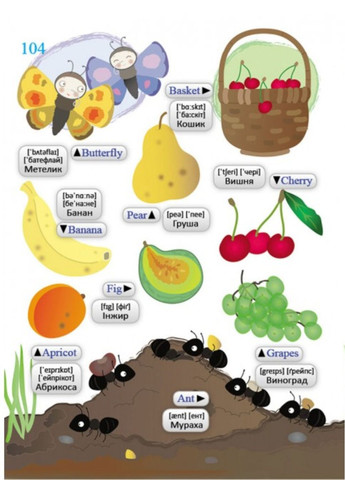 Иллюстрированный словарь ENGLISH. Интересный мир Пегас (274060342)