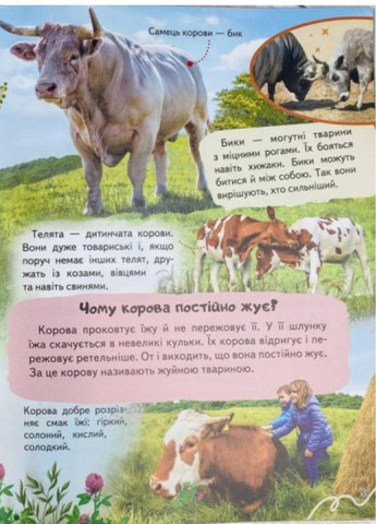 Цікава енциклопедія у подарунок розумійкам. Набір з 4 книг Пегас (274060335)