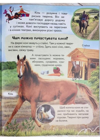 Енциклопедія Ферма. Унікальні факти, цікава інформація про домашніх тварин Пегас (274060336)