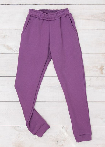 Фиолетовые повседневный зимние прямые брюки Носи своє